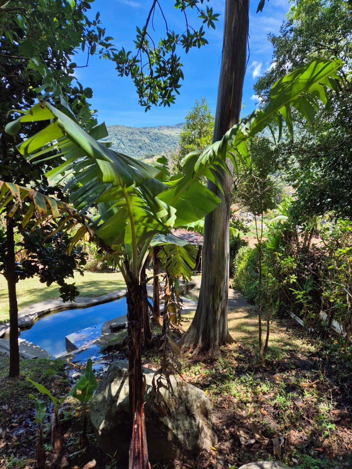 Foto de Senderos Amados 7